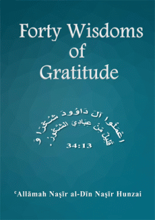 Forty Wisdoms of Gratitude written by Allama Nasir uddin Nasir Hunzai
