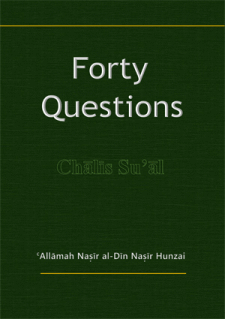 Forty Questions by Allama Nasir uddin Nasir Hunzai